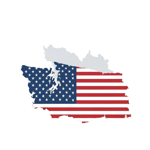 Infographic Of Washington