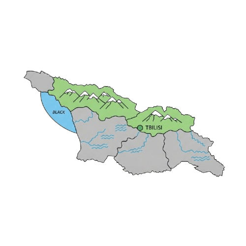 infographic of georgia